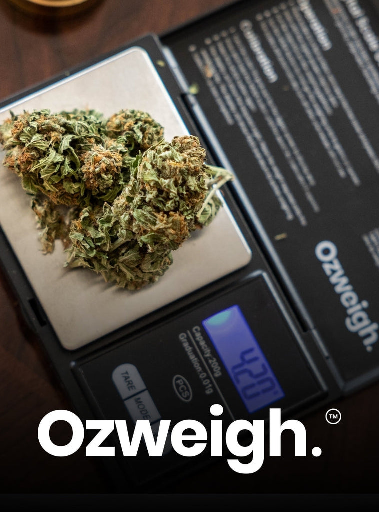 OzWeigh Digital Scale with cannabis buds on scale